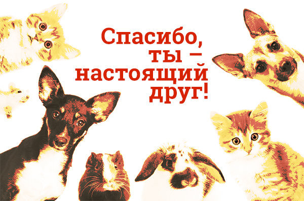 Спасибо дружище открытки, открытку