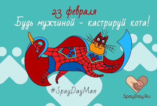 всемирный день стерилизации животных 2021. 23 февраля день кастрации. день кастрации животных. World spay day. день кастрированных.