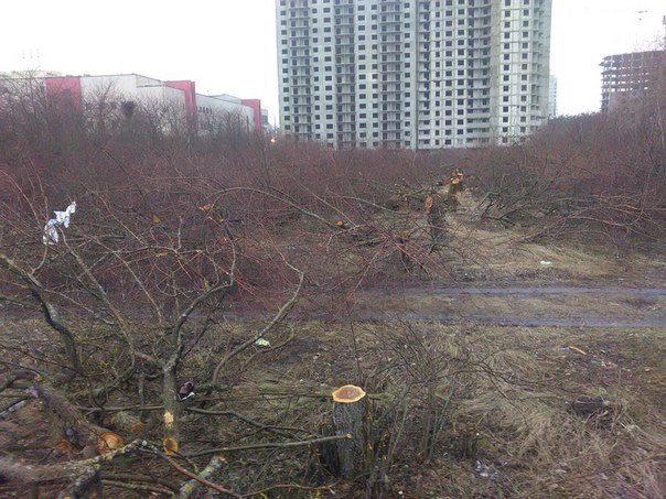 План застройки яблоневого сада воронеж