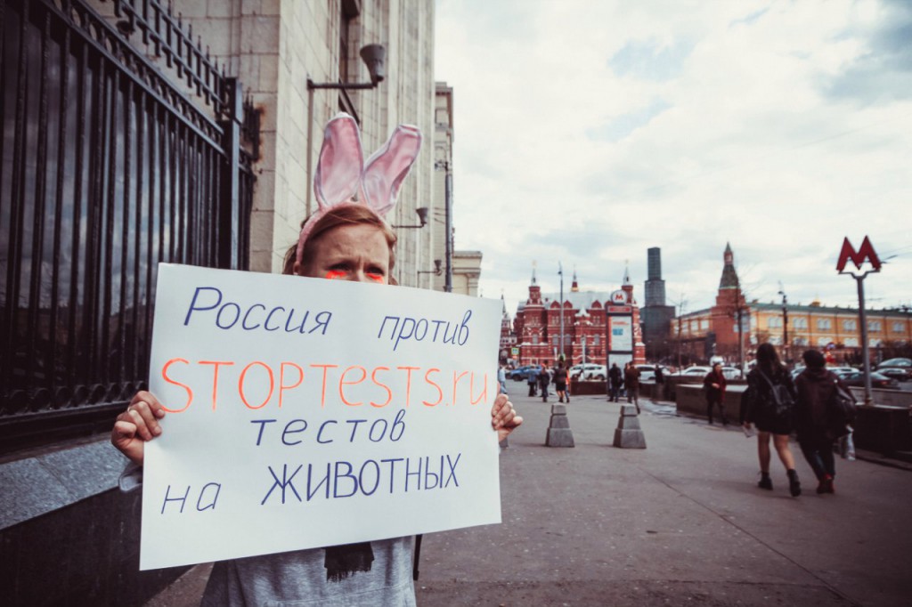 Тестирование косметики на животных проект