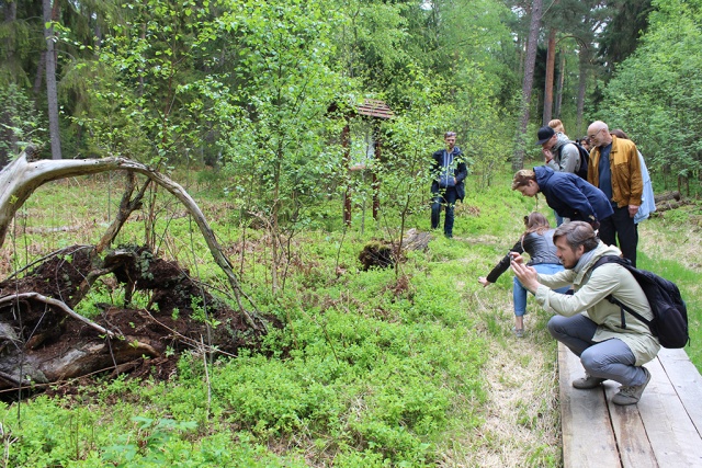 2016-05-13 13.10.31 Куршская коса проект трактование калининград