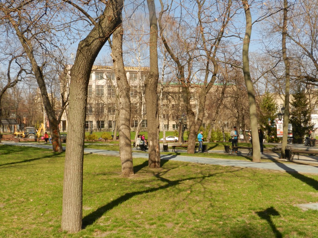 Воронеж конкурс