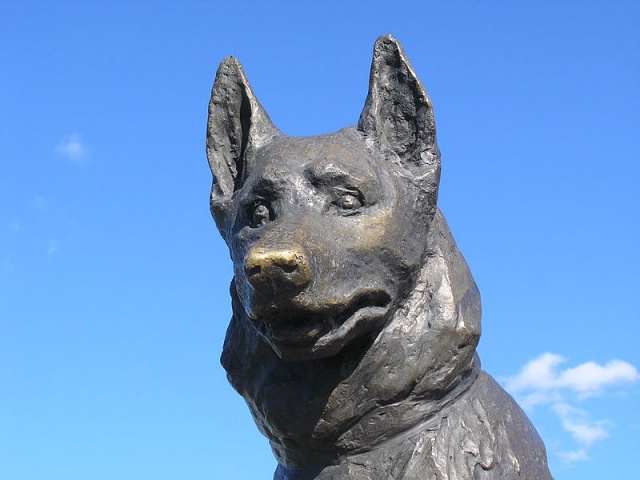 800px-Dog_Monument,_head,_Togliatti,_Russia