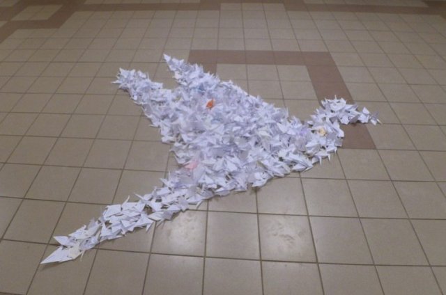 Для акции "Полет жизни" студенты Петрозаводского университета сделали 700 бумажных журавликов.