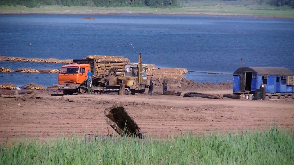 вырубка лесов на Байкале