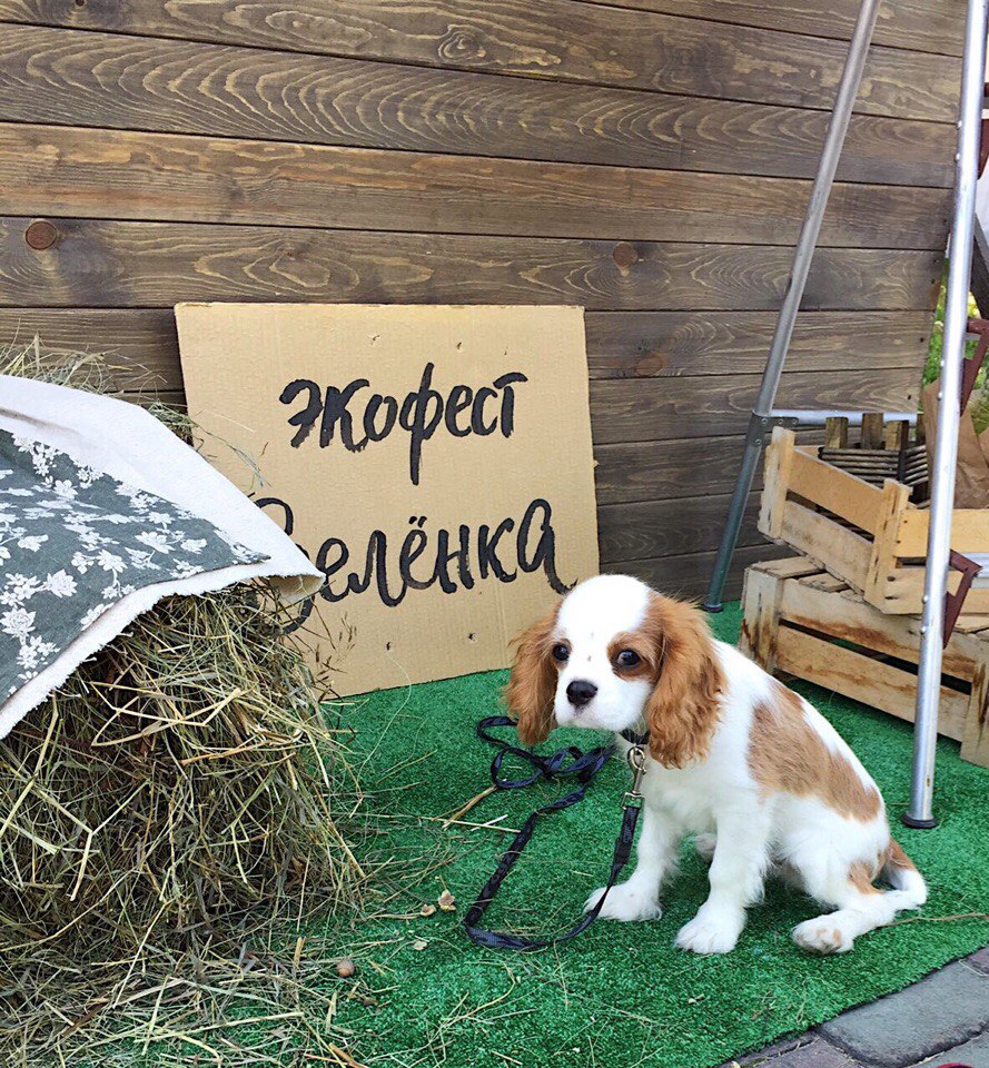 новосибирск