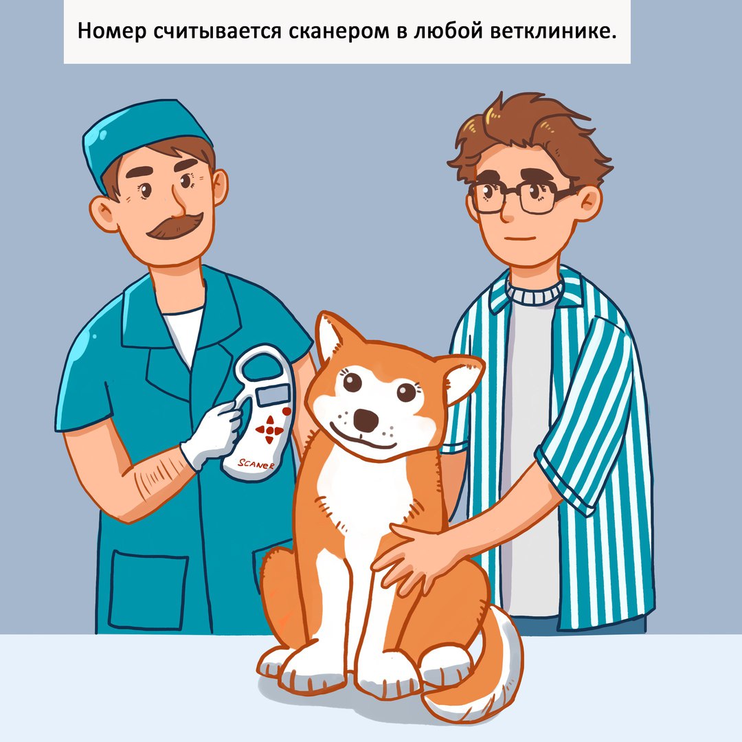 Чипирование животных картинки