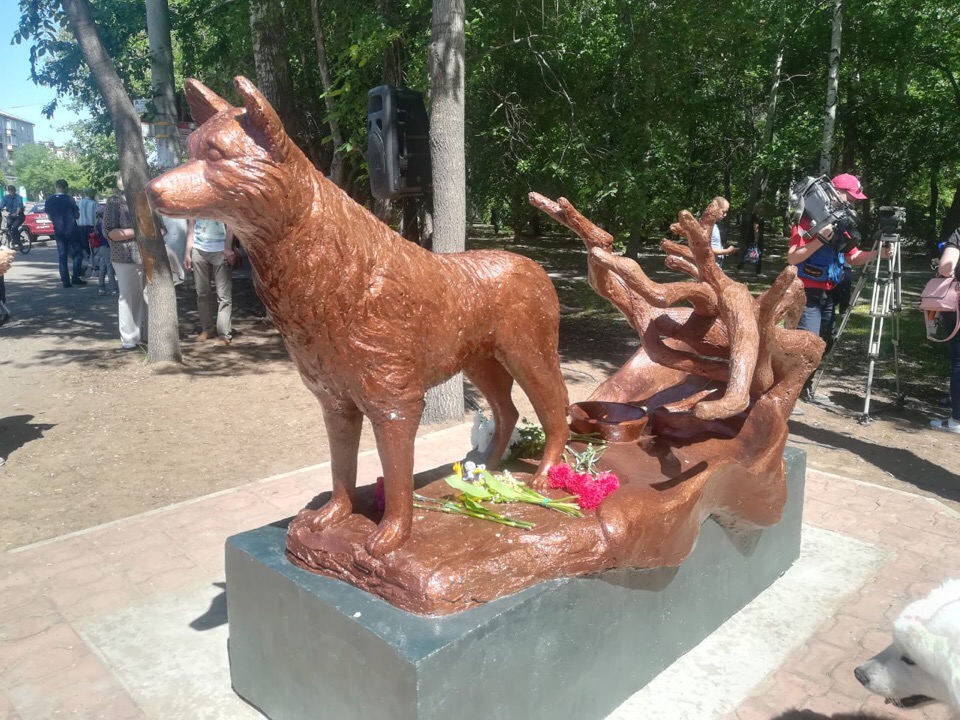 Собака