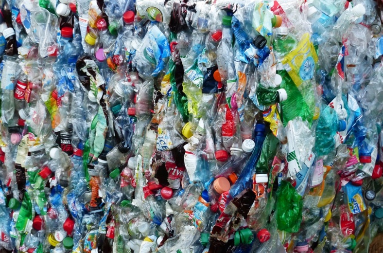 https://www.asi.org.ru/wp-content/uploads/2018/08/plastic-bottles-115082_960_720-788x520.jpg