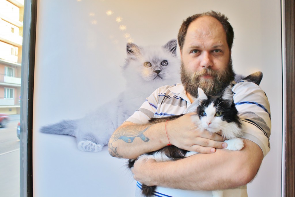 Человек и кошка