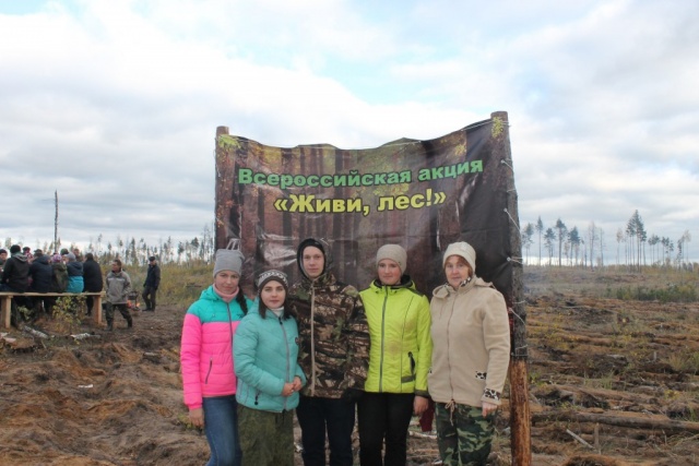 Нижний Новгород школьники волонтеры посадка леса экология