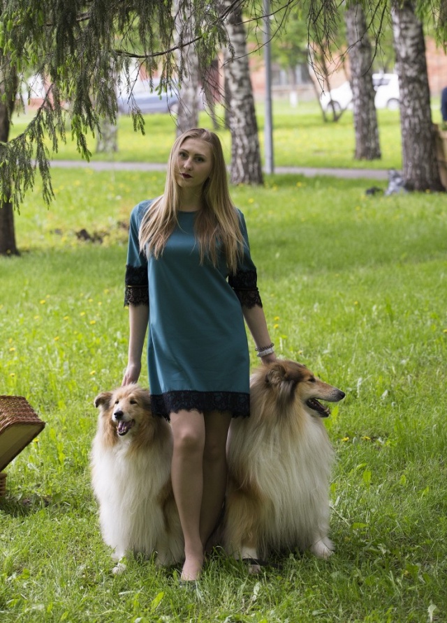 фотосессия с собаками Кемерово