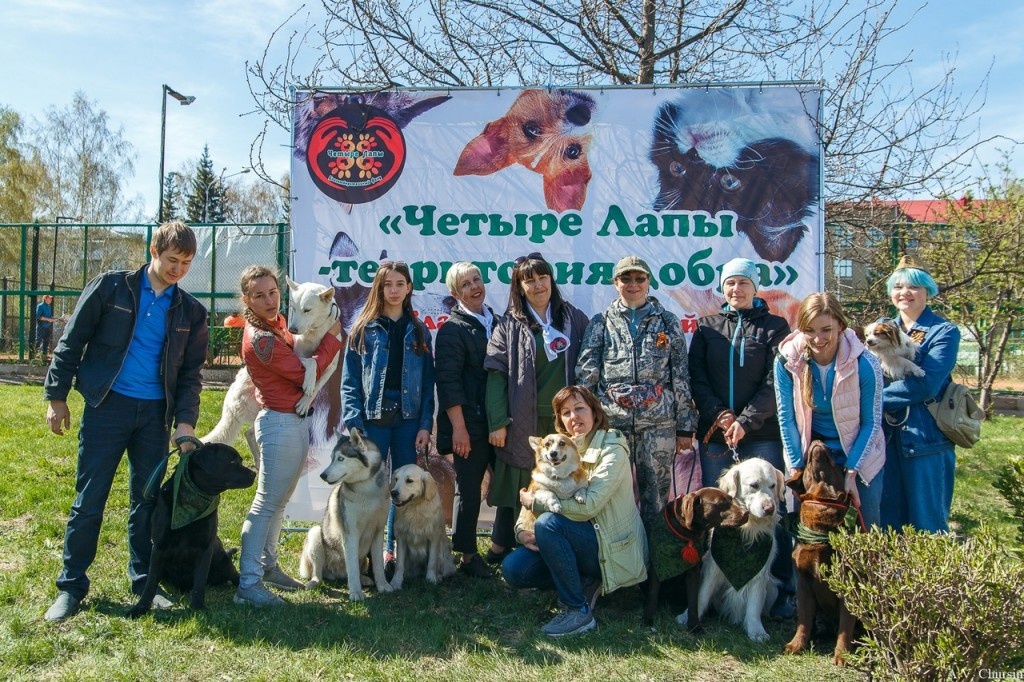Благотворительная выставка собак прошла в Кемерове - Агентство социальной  информации