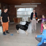 Собаки посетили детей, находящихся на лечении в новгородской больнице
