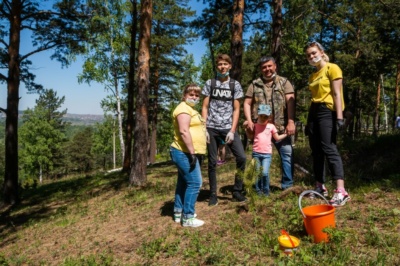 Фото Молодых Деревьев