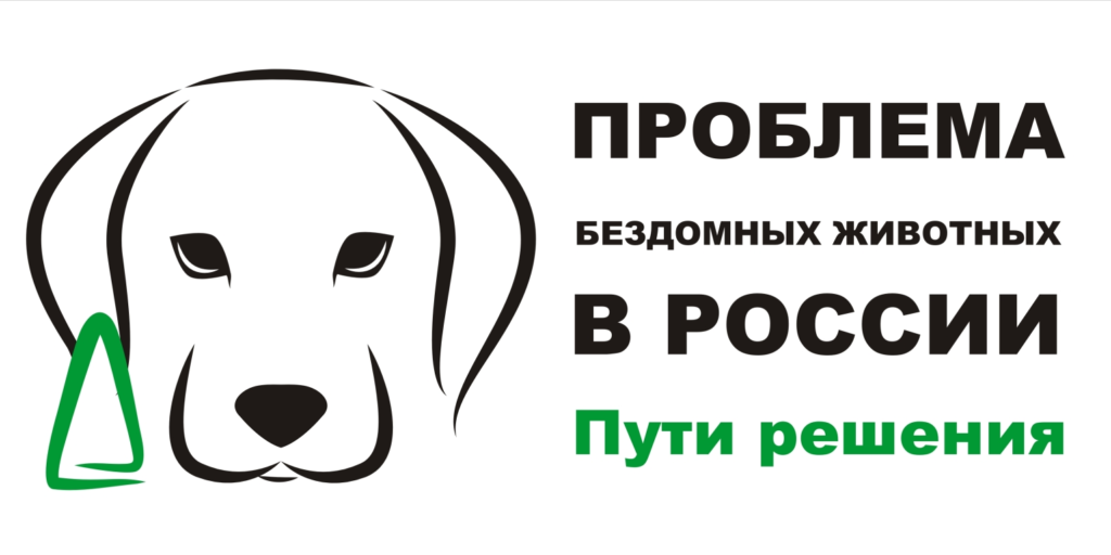 Проблема бездомных собак проект