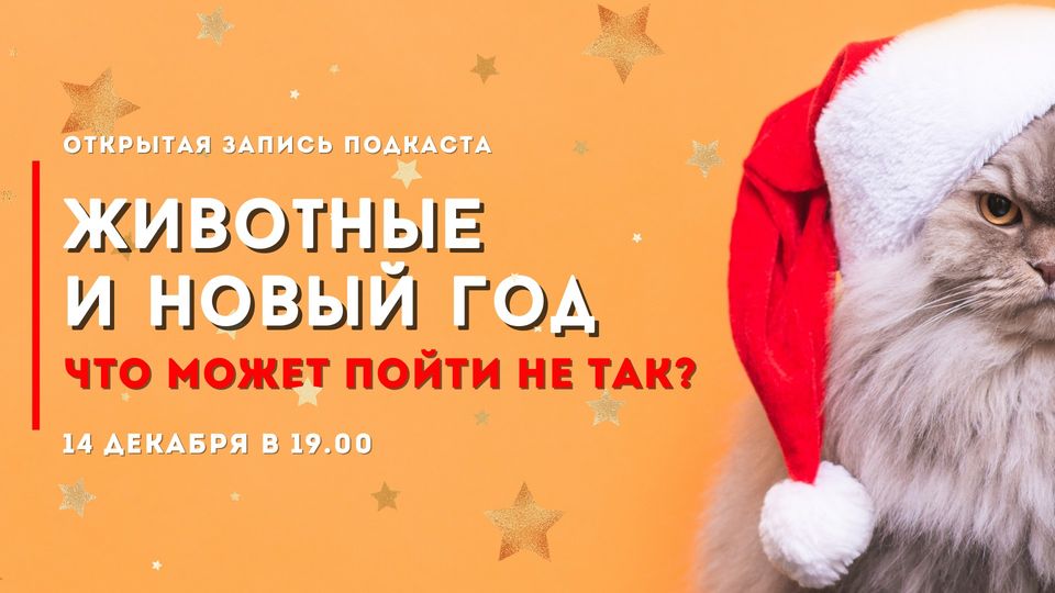 19 00 Новый Год 19 00 Новый Год