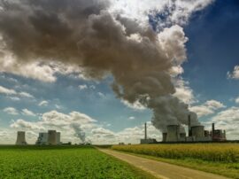Реферат Greenpeace Реферат Greenpeace