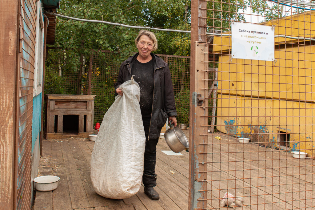 первый приют петрозаводск. приюты петрозаводска адреса. приюты петрозаводска адреса. первый петрозаводский общественный приют для животных. приюты петрозаводска адреса.