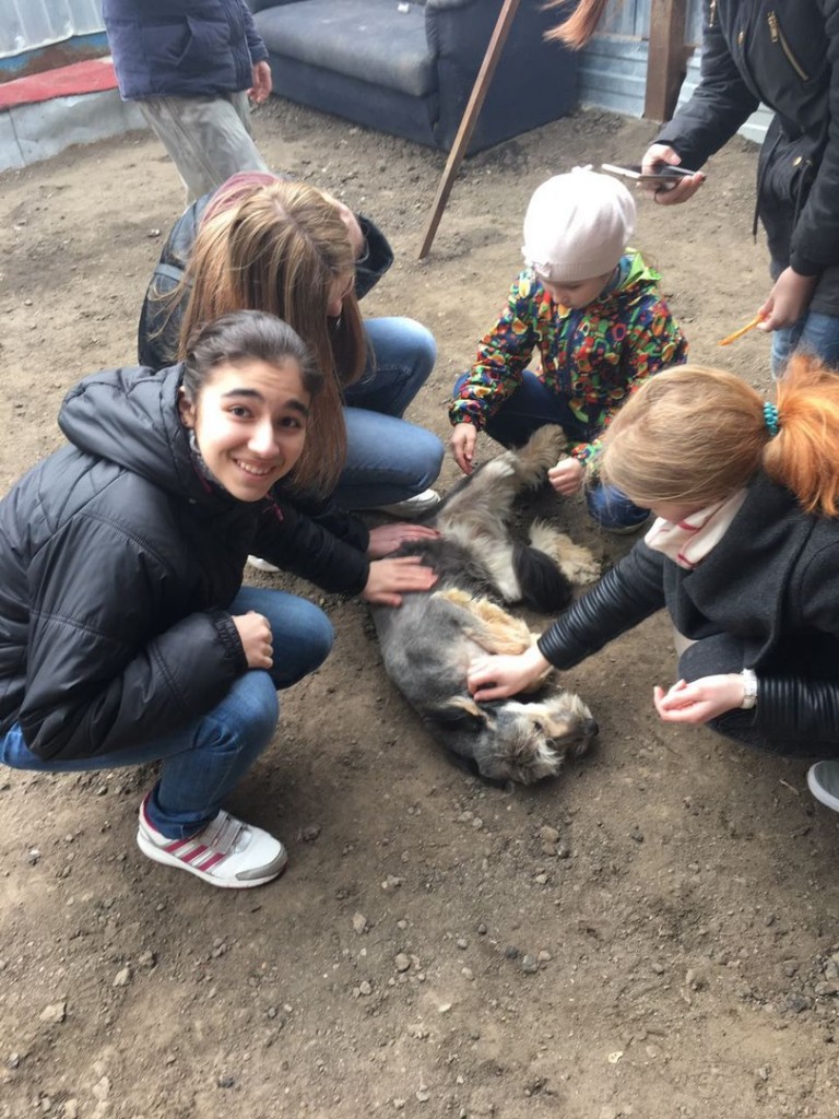 Москва урок добра бездомные животные