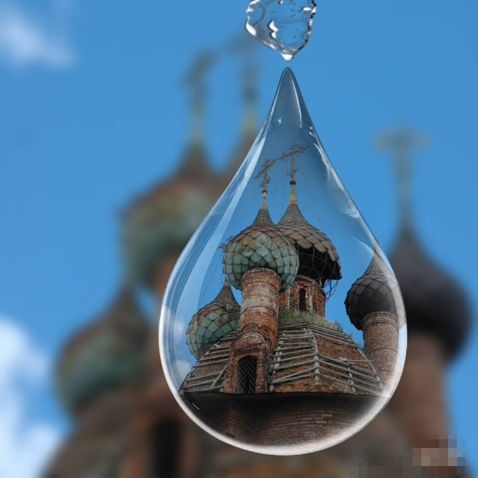 благотворительный фонд белый ирис