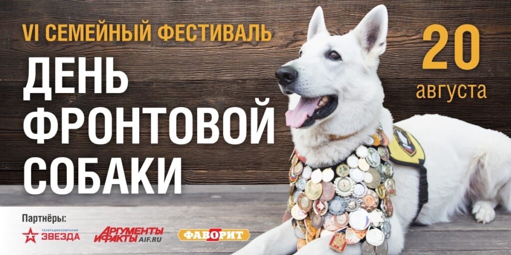 Московский собачий аквапарк и семейные каникулы