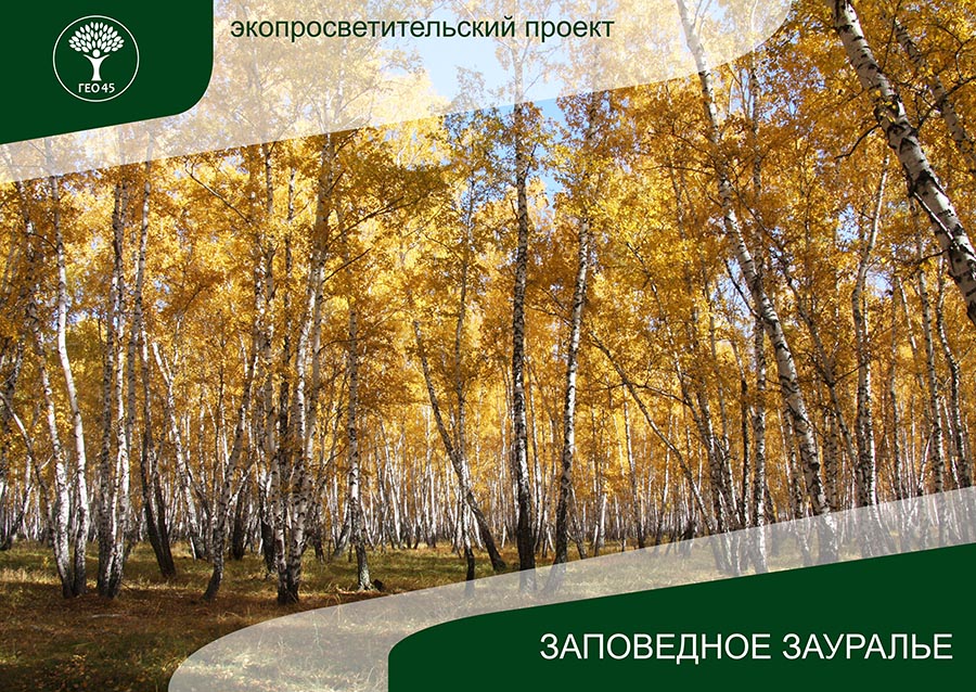 Проект природа зауралья